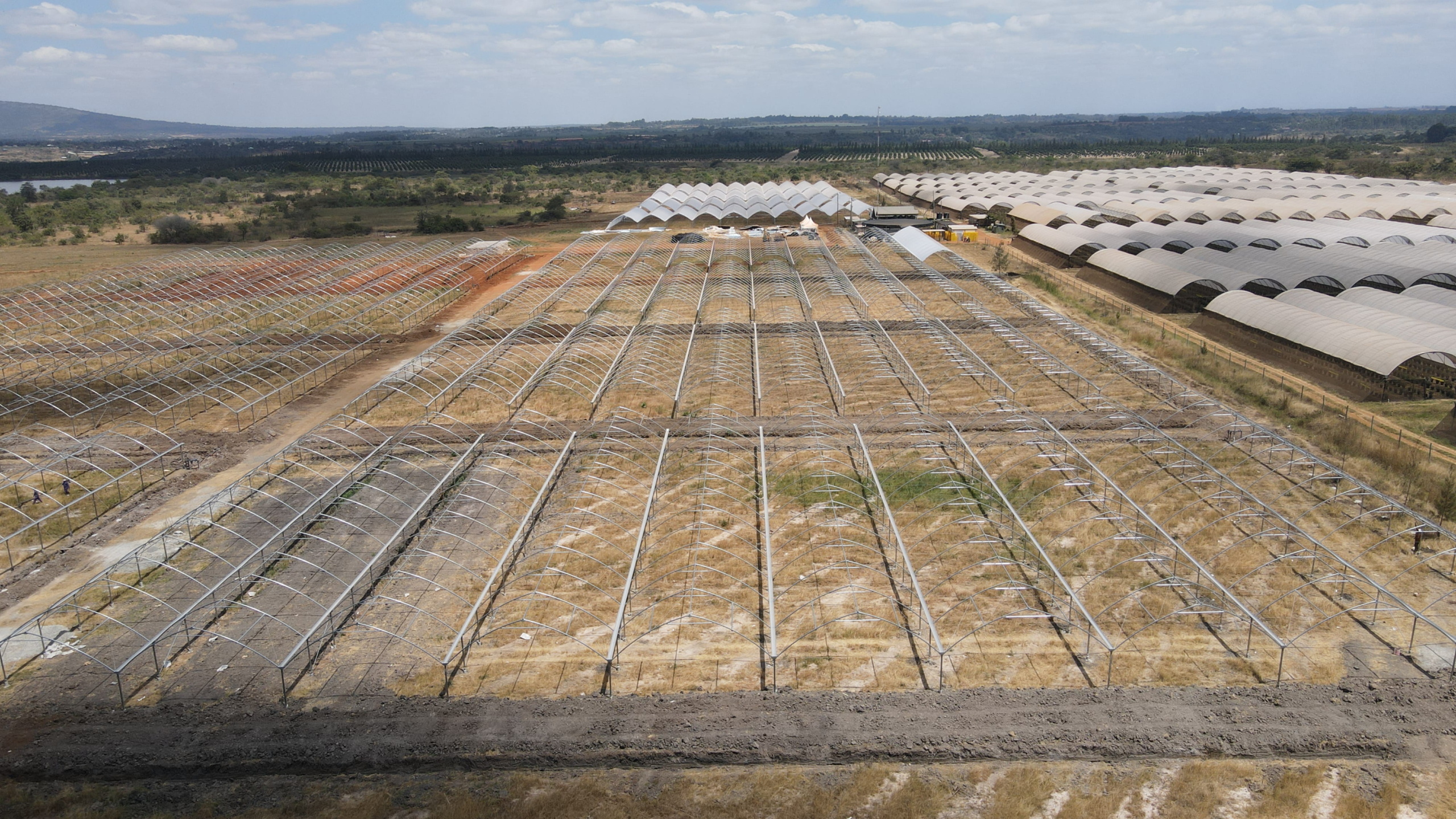 an aerial view of the new kakuzi blueberry orchards